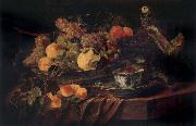 Jan  Fyt Fruit and a Parrot china oil painting reproduction